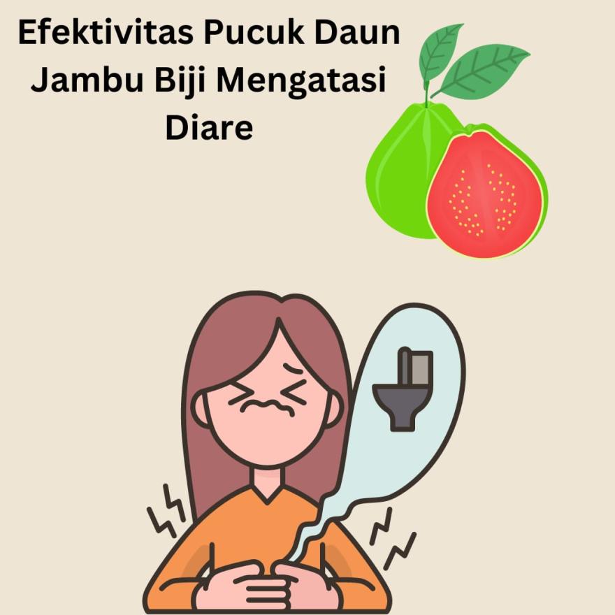 Benarkah Penggunaan Daun Jambu Biji Cukup Efektif untuk Mengatasi Penyakit Diare?